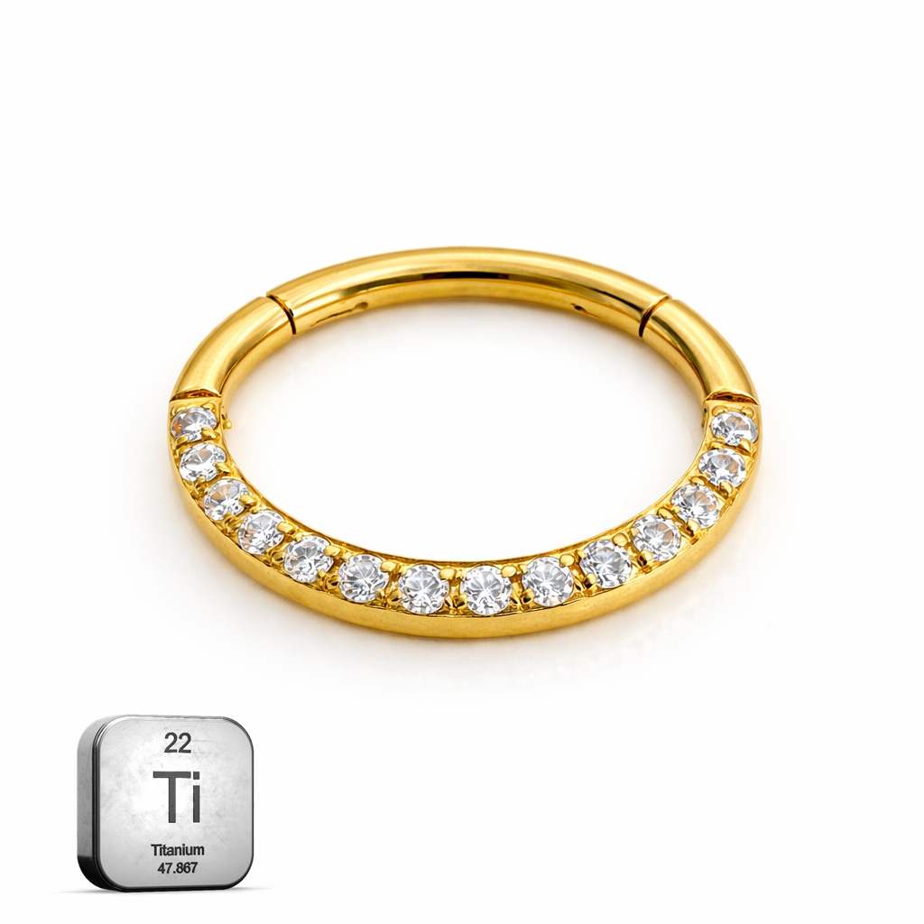 Titanium Oval Hinged Clicker Ring for Daith & Septum