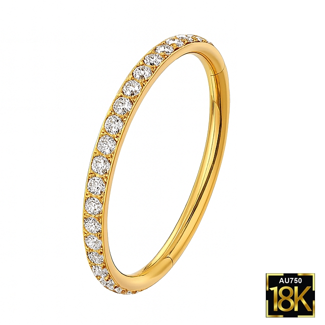 18K Gold Diamond-Studded Hoop (VS Diamonds) 